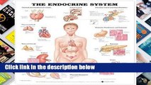 D.O.W.N.L.O.A.D [P.D.F] The Endocrine System [E.B.O.O.K]