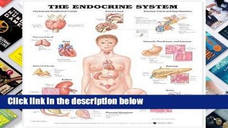 D.O.W.N.L.O.A.D [P.D.F] The Endocrine System [E.B.O.O.K]