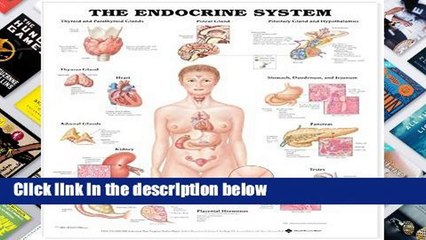 D.O.W.N.L.O.A.D [P.D.F] The Endocrine System [E.B.O.O.K]