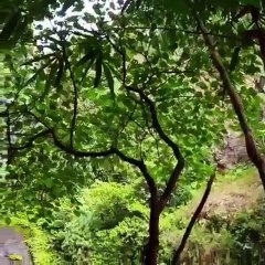 The Most Creepy Ghost Appearance Ever Caught on a Camera