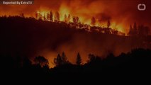 California Fires Present Danger To Homes Of Celebrities