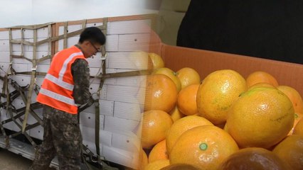 '이례적 답례' 귤 오늘도 북으로...김정은 답방 불씨 살리기? / YTN