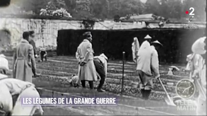 Jardin – Les légumes de la Grande Guerre