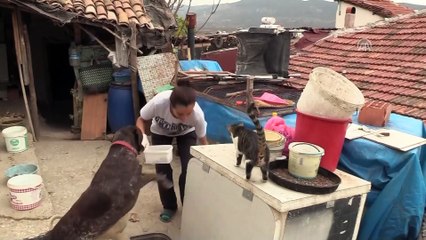 Sahipsiz hayvanların koruyucu meleği - BİLECİK