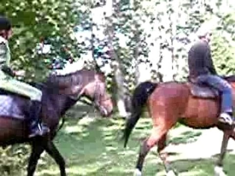 ballade a cheval n°2