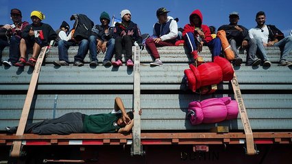 مهاجرون على شاحنات الدجاج والولايات المتحدة تستعد لصدهم