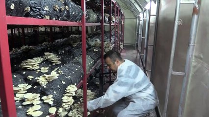 Hibe desteğiyle aylık 5 bin lira gelirli iş kurdu - BARTIN