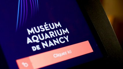 Making off - Nocturne- (La chapelle des pixels)