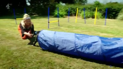 Embarrassing Pets Season 1 Episode 8