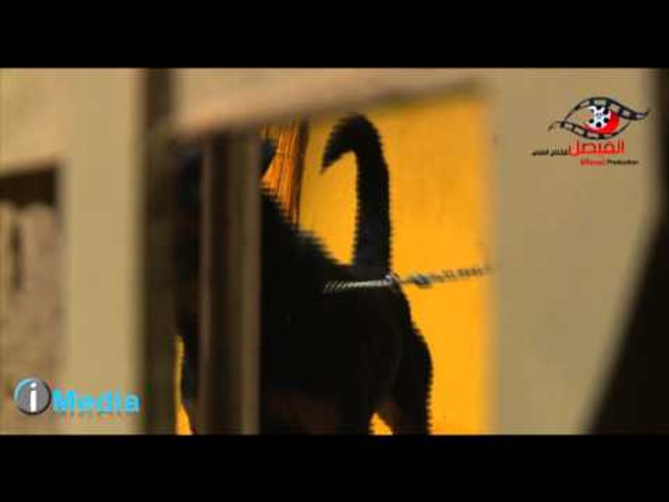 Al Serdab Bloopers / برنامج السرداب - لقطات غريبة - كلب يعض علاء مرسى فى الأستوديو