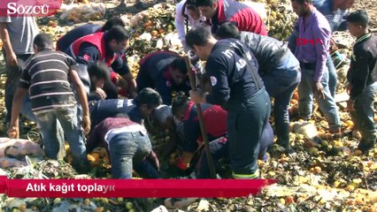 Video herunterladen: Atık kağıt toplayıcısını kurtarmak için seferber oldular