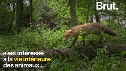 Interview avec Paul Wohlleben sur les émotions des animaux