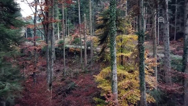 Bozüyük'te sonbaharda renk cümbüşü - BİLECİK