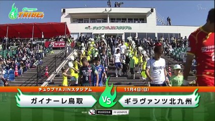 ガイナーレＴＲＩＢＥ