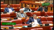 Mushahidullah Khan Speech In Senate - 12th November 2018