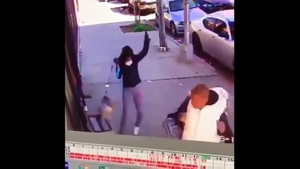 Angry Cats VS Dogs Funny Compilation