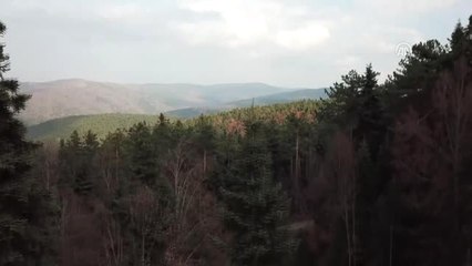 Télécharger la video: Bozüyük'te Sonbaharda Renk Cümbüşü - Bilecik