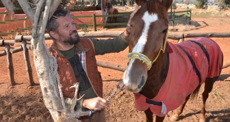 İşkenceye Uğrayan Atın Sahibi Konuştu: Eşim Dahil Hiçbir Kadına Aşık Olmadım, Bu Ata Aşığım