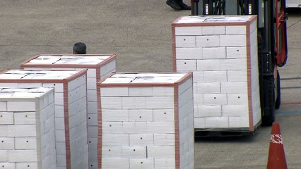 '송이버섯 답례' 제주 귤 2백 톤 北 전달 완료 / YTN