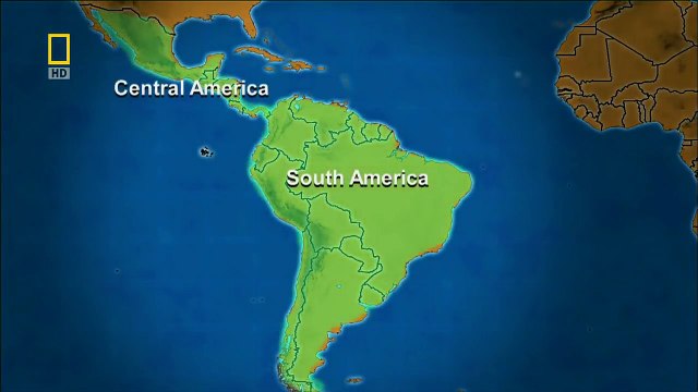 Thế Giới Động Vật - Những Sinh Vật Nguy Hiểm Ở Rừng Amazon