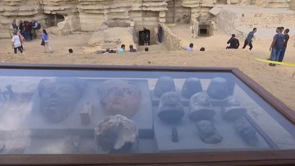 Mummified scarab beetles unearthed in Egyptian tomb