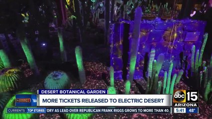 More tickets released for the Electric Desert