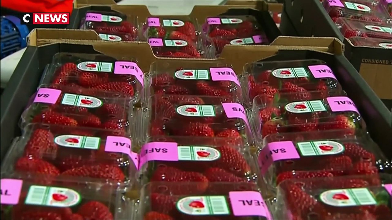 Fraises piégées avec des aiguilles : une femme inculpée en Australie
