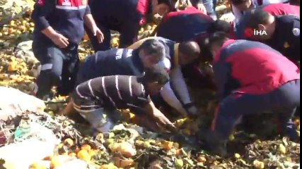 Adana'da Narenciye Posası Altında Can Pazarı