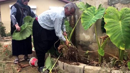 Emekli olunca doğal yaşamı seçti - ANTALYA