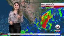 El clima para hoy 12 de noviembre, con Cecilia Salamanca