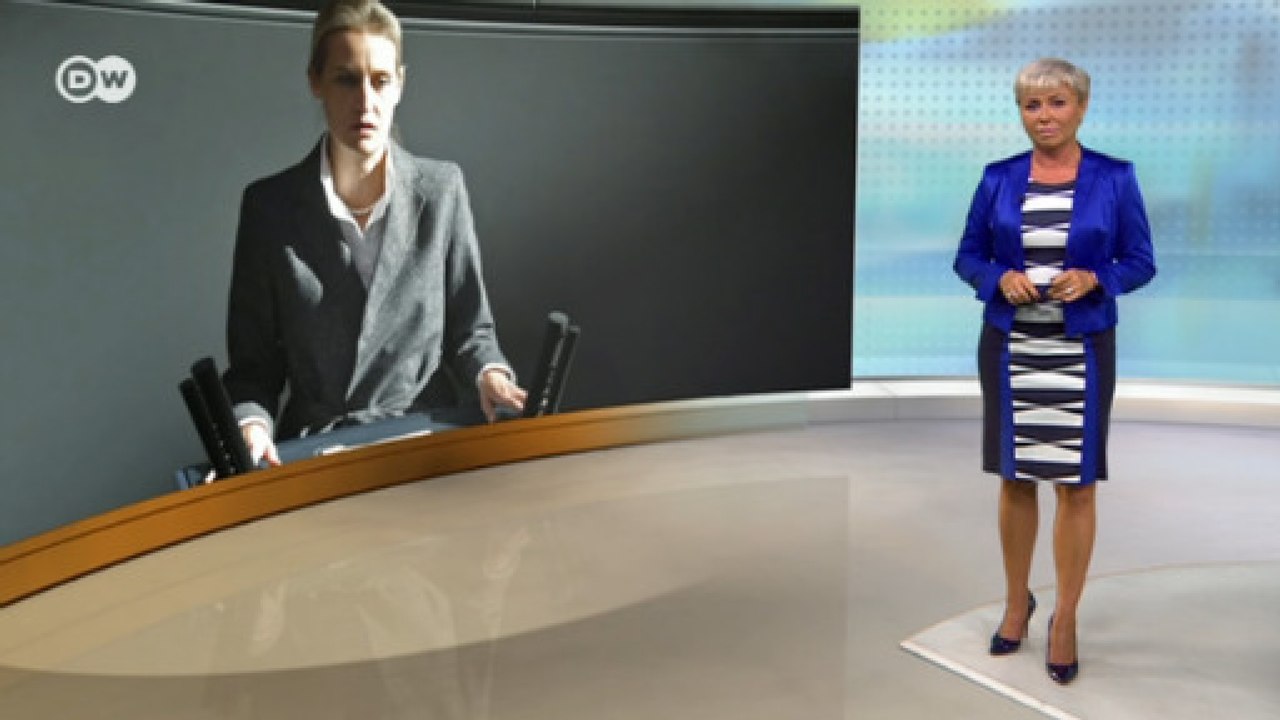 Незаконные пожертвования из-за рубежа: что грозит правым популистам из АдГ - DW Новости (12.11.2018)