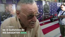 Stan Lee, Marvel Comics Legend, Dead at 95