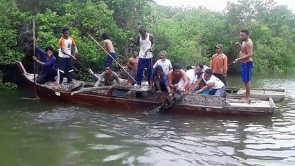 Video herunterladen: Ces pecheurs indonésiens attrapent un énorme crocodile