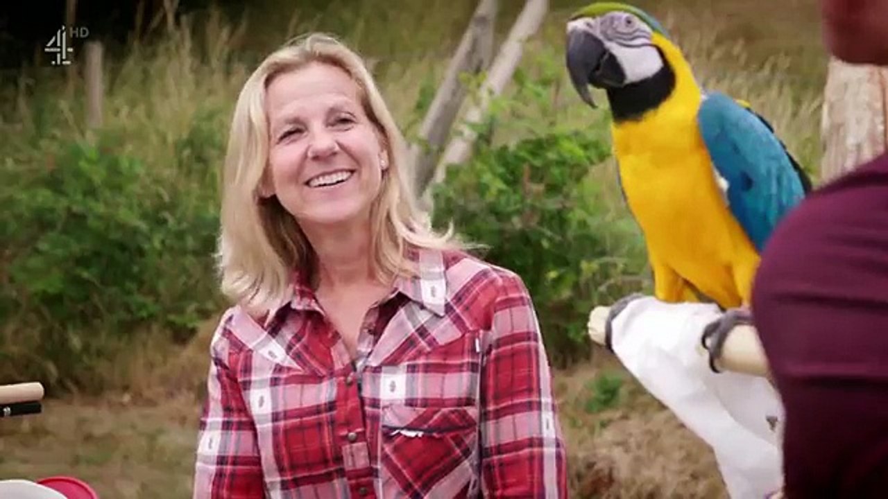 Embarrassing Pets Season 1 Episode 6