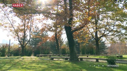 TBMM bahçesi hazan mevsimi renklerine büründü