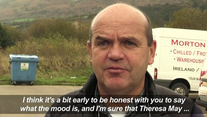 Brexit: reactions on the Irish border