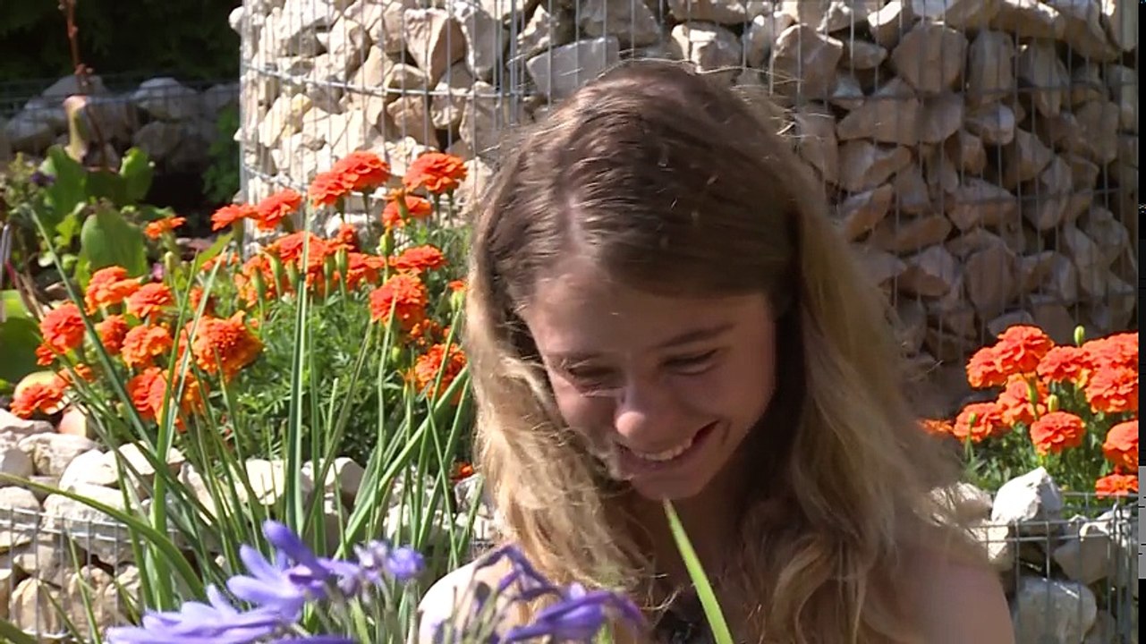 We Are Peace - Wir sind der Frieden  :  Das Peace Project von Christina von Dreien