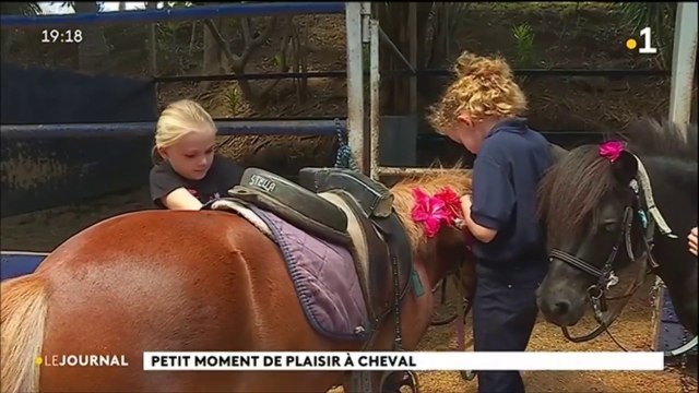 Vacances à dos de poney