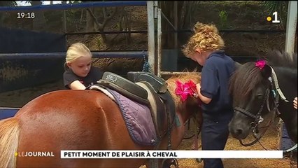 Vacances à dos de poney