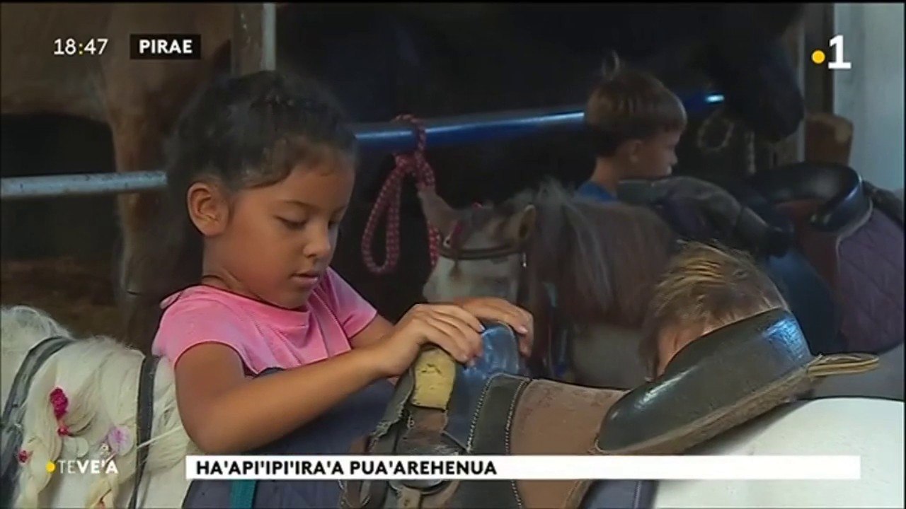 TH : Vacances à dos de poney