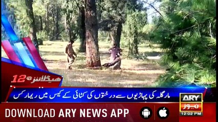 Headlines ARYNews 1200 13th November 2018