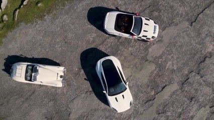 The Jaguar F-TYPE Chequered Flag Limited Edition