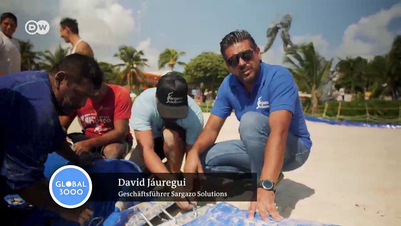 Invasion der Braunalgen in Mexiko | DW Deutsch