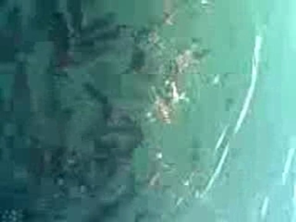 poisson land