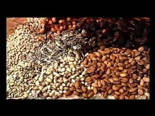 THE GRAPE HARVEST - Daily Life in the Time Of Jesus - Israeli food- Land of milk and honey