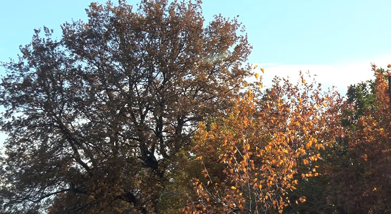 Liverpool F.C. And Everton Playing Over The Weekend!