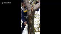 Un homme répare un arbre avec un boulon
