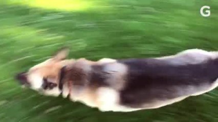 GoPro Hero7 Black: Hands On