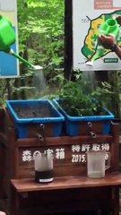 Sellerin nedenini anlamak için, güzel bir video...