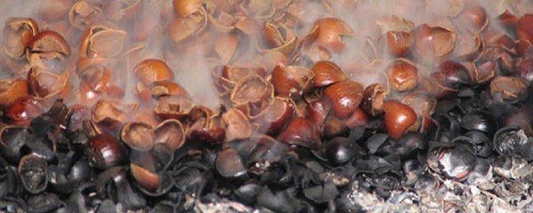 Fındık kabuğundan mangal kömürü elde edip satıyor